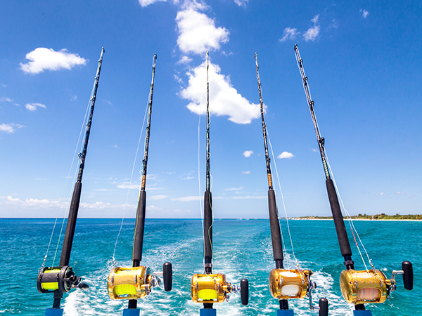 five fishing reels cast into the ocean